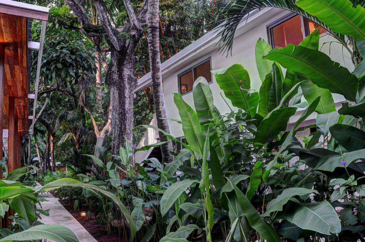 Moana Surf Resort Nosara Zewnętrze zdjęcie