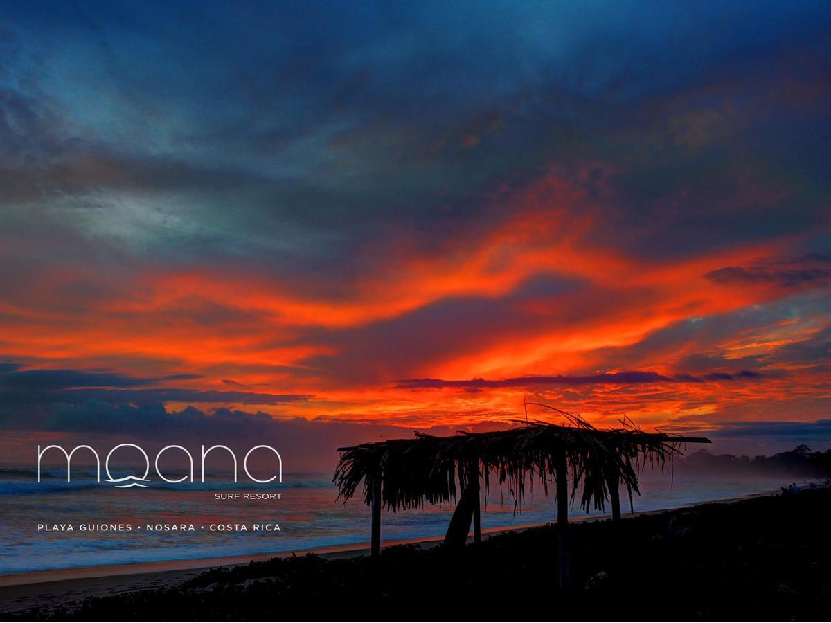 Moana Surf Resort Nosara Zewnętrze zdjęcie